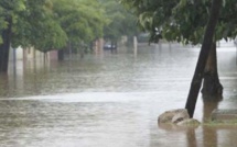 ​Prévision météorologique : ANACIM annonce de faibles pluies ce samedi de 6h à 12h