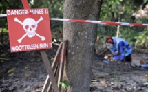 Déminage en Casamance : 500 engins explosifs et mines antipersonnel élagués depuis 2007 (CNAMS)