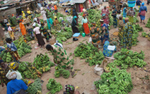 Santé : « les aliments insalubres causent 425 mille décès par an », révèle le Professeur Amadou Diop
