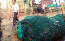 Pêche illicite au Sénégal : une perte estimée à 150 milliards FCfa chaque année