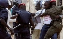 Pikine : un individu libère son pitbull sur un policier lors de son arrestation