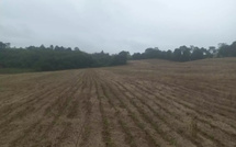 Kiréne/Diass : l'État a attribué par bail 143 hectares aux Ciments du Sahel