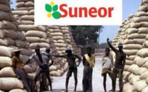 Crise à la SUNEOR: les travailleurs passent de 900 à 337 permanents