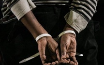 États-Unis : Un Sénégalais poignarde à mort un jeune de 19 ans et écope 20 ans de réclusion criminelle 