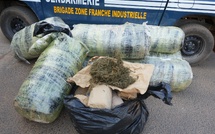 Keur Massar : Saisie de 667 kg de chanvre indien par la gendarmerie