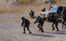 Exploitation irrégulière du bois à Bignona : l’armée essuie des tirs et réplique.