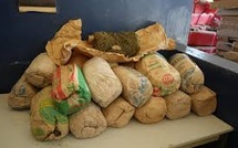 Société: 225 kilos de chanvre indien et deux armes á point saisis par par l'OCRTIS entre Yarakh et Ouakam