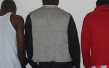 Bargny-Sendou : Trois membres d'un gang arrêtés après une tentative de vol à l'usine Sococim