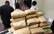 Entre Thiaroye, Yenne et Karang : la gendarmerie intercepte 127 kilos de chanvre indien