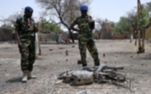Ndjamena instaure l'état d'urgence dans la région du lac Tchad