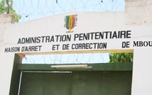 ​Prison de Mbour : les gardes interceptent du chanvre indien planqué dans un poulet, le livreur et son client identifiés