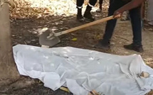 Tambacounda : un femme de 80 ans retrouvée morte calcinée
