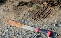 Linguère : un homme de 50 ans attire sa femme dans des buissons et la tue à coup de machette 