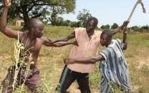 Keur Momar Sarr : un berger attaque á coups de hache la femme de son frère qui refuse d'entretenir des rapports sexuels avec lui