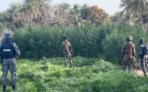 ​Département de Bignona : l'armée et la gendarmerie lancent une vaste opération de sécurisation dans les îles Karone