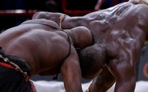 Report des évènements de lutte : 140 lutteurs et 7 promoteurs impactés par la décision du Cng