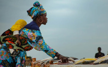 ​Femmes, droits et autonomisation (Par Dr Zeinab Kane, Enseignante -chercheure en Droit Public)