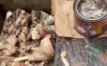 Petersen : un "forokh thiaya" interpellé pour avoir vendu de la viande de chat