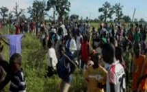 Conflit foncier à Tocky Gare: 54 hectares de terre opposent le maire de la localité à des paysans 