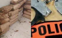 Rufisque : 46 kg de chanvre indien saisis par la police 