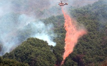 Incendies en Corée du Sud: un pilote a été tué dans le crash d'un hélicoptère