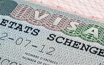 Trafic de faux visas : un récidiviste tombe avec 33 nouvelles plaintes