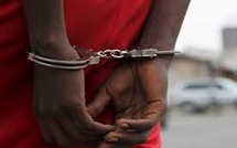 Scène choquante à Cambérène : un carreleur surpris en train d’entretenir un rapport sexuel avec une brebis 