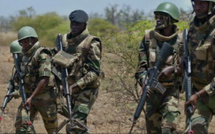 Casamance : l'armée sénégalaise en opération dans la zone des Palmiers après une attaque armée à Djinaky
