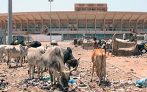 Stade Léopold Sédar Senghor : une vaste opération de désencombrement aux abords de la structure lancée