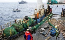 Lutte contre la pêche illicite à Dakar : 5 embarcations arraisonnées, environ 4 tonnes de juvéniles saisies