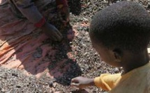 Cobalt : Alerte au travail des mineurs