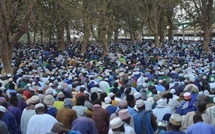 Daaka, carrefour des échanges économiques ouest-africains (par Mouhamadou SOW)