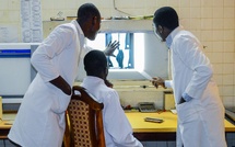 Tambacounda : quatre (4) individus travaillant dans une entreprise chinoise déférés pour "exercice illégal de la médecine"