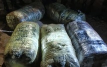 Popenguine : 125 kg de chanvre indien saisis sur la plage de Guéréo