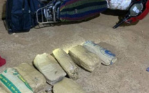 Dias : neuf (9) kilos de chanvre indien saisis par la gendarmerie, les deux (2) suspects en fuite