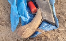 Braquage de l’hôtel Pélican du Saloum : deux suspects arrêtés, une arme saisie