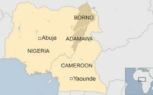 Cameroun : deux morts dans un attentat