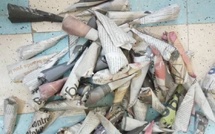 Trafic de drogue à Saint-Louis : un réseau démantelé, quatre (4) individus déférés