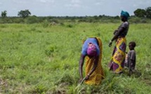 Burkina: Les femmes exigent le quota