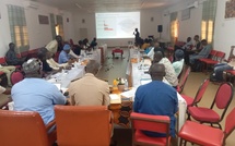 Casamance : plus de 2000 jeunes formés et insérés grâce au programme « Réussir au Sénégal »