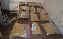 Thiès : un réseau de trafic international de Skunk démantelé, un Américain d'origine sénégalais arrêté 