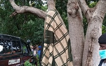 Ndiaganiao : Un berger de 17 ans meurt après une chute d’un baobab