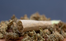 Goudomp : le Forum Civil alerte sur la consommation de drogue chez les jeunes