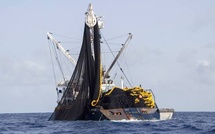 L’UPAMES appelle à boycotter les produits issus de la pêche illicite