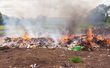 Kédougou : 20 tonnes de produits illicites incinérées, d’une valeur de 44 millions FCFA