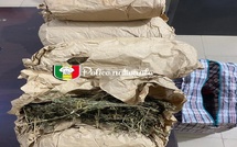 Trafic de drogue à Bargny : un suspect interpellé après une course poursuite à Rufisque avec 5 kg de chanvre indien