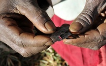 Casamance : des exciseuses formées pour devenir actrices du changement social