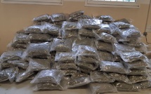 Axe Bignona-Ziguinchor : deux étrangers interpellés avec 29 kepa de Kush