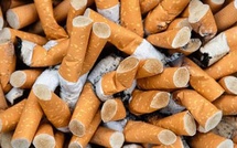 Révision de la loi antitabac de 2014 : la Listab demande le retrait immédiatement du projet 