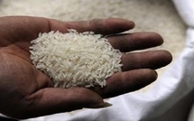 Sénégal : vers le rétablissement des droits de douane sur le riz brisé ordinaire